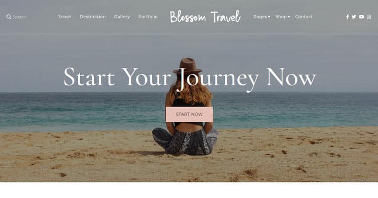 Download Blossomthemes - Blossom Travel Pro WordPress Theme for female travel and lifestyle bloggers