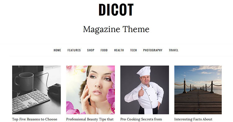 Download DesignOrbital - Dicot Blog Magazine Shop WordPress Theme