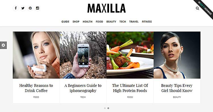 Download DesignOrbital - Maxilla Magazine Blog WordPress Theme